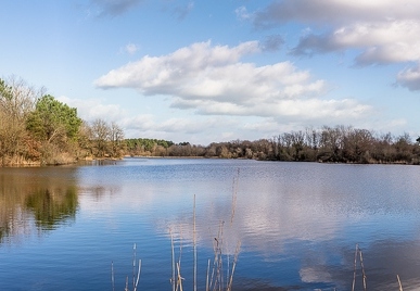 Etang d'Usseau