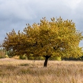 _DSC0229_DxO-Panorama.jpg