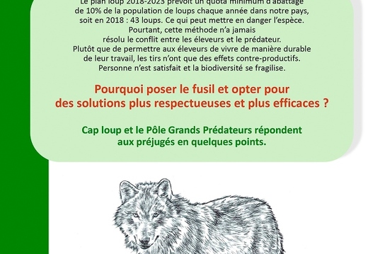 Retour du loup en France - عرض جميع صور هذا الألبوم Retour du loup en France