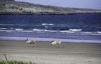 Rennes à la plage