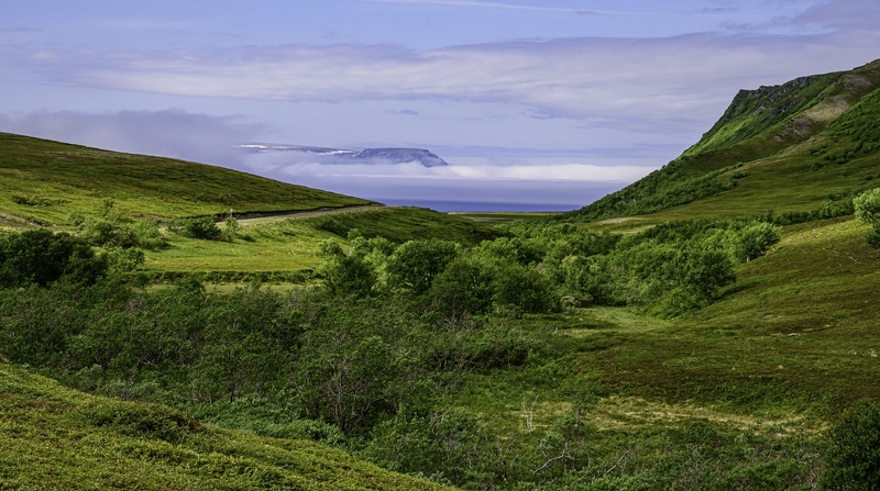 25062023-_DSC2497-Avec accentuation-Bruit-HDR-2.jpg