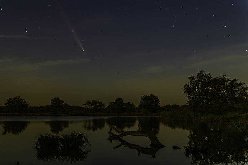 Passage de la comète C/2023/A3 Tsuchinshan-ATLAS au dessus de l'étang Ricot dans la Brenne, France.
Passage of comet C/2023/A3 Tsuchinshan-ATLAS over the Ricot pond in Brenne, France. _DSC0387-1.jpeg