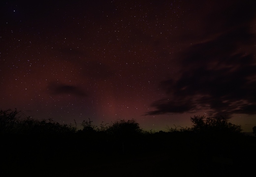 Aurores boréales dans la Brenne en France