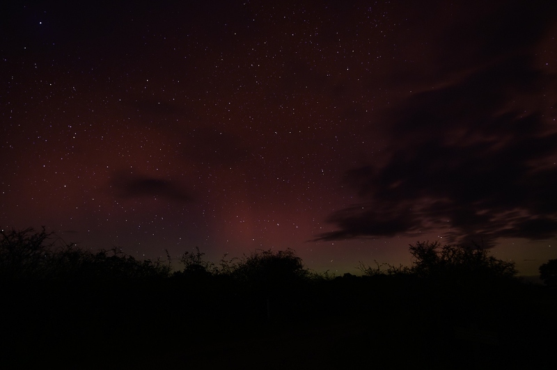 Aurores boréales dans la Brenne à Saint Michel En Brenne, Indre en France.
Aurora borealis in Brenne at Saint Michel En Brenne, Indre in France. _DSC3895-Avec accentuation-Bruit.jpeg