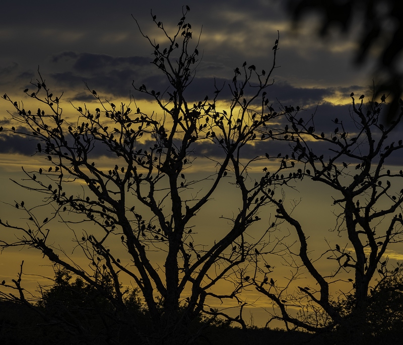 _DSC2769_DxO-Panorama.jpg
